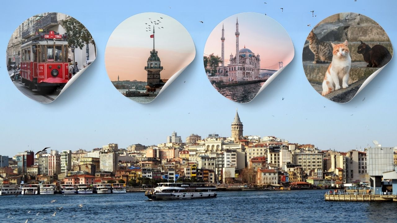 New York Times’tan 36 saatte İstanbul rehberi: Kedi, martı, balık ekmek ve daha fazlası...
