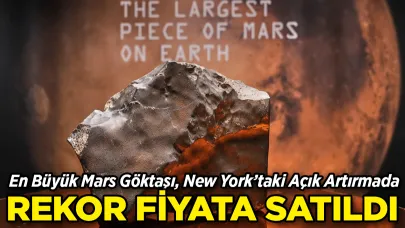 Mars'tan Gelen En Büyük Göktaşı Rekor Fiyata Satıldı!