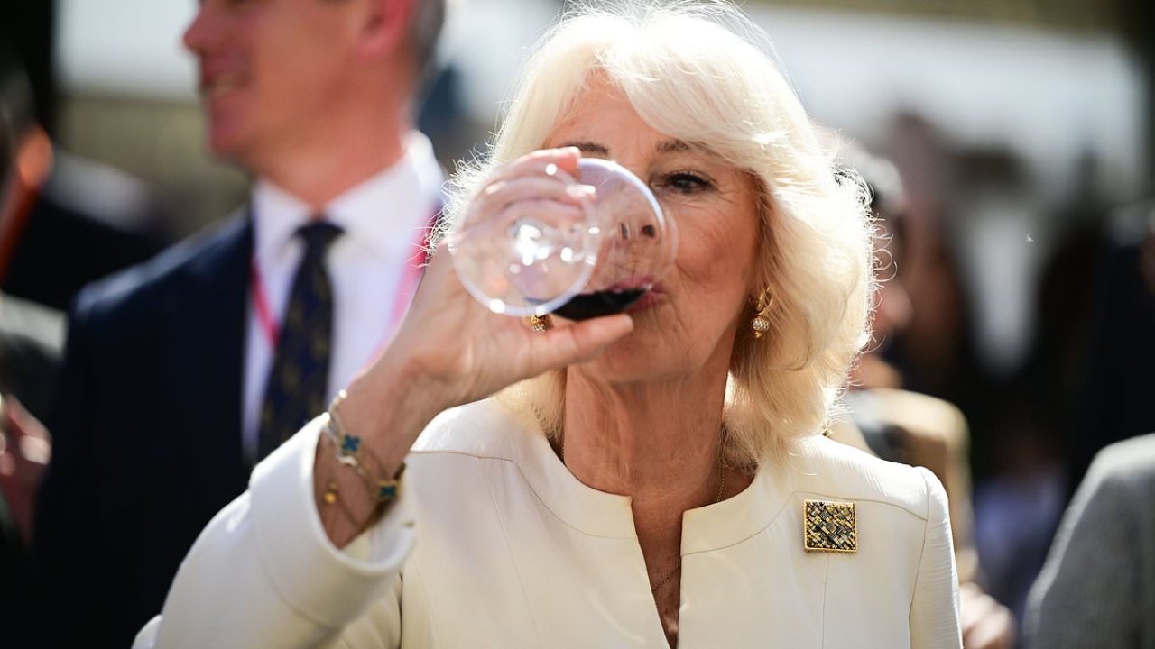 Camilla's son reveals the 'myth' about his mother that isn't true