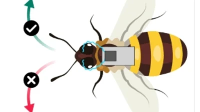 China creates cyborg BEES that could be used for secret spy missions