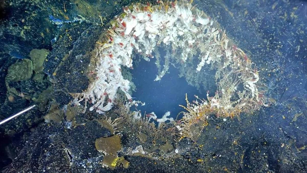 Eruption warning as volcano off US Coast is rocked by 300 earthquakes