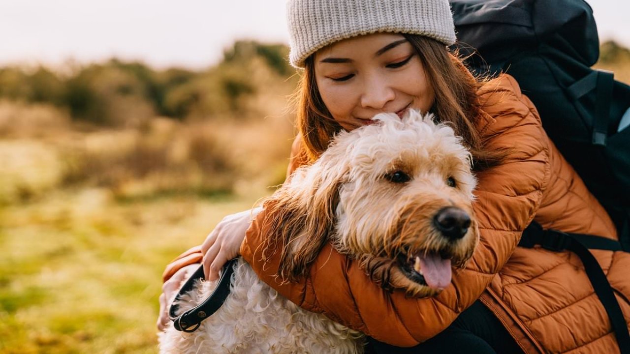 Experts sound alarm over a rise in a mysterious tick-borne illness