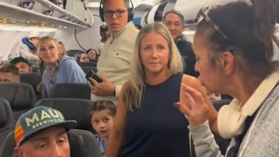 Fight breaks out on plane as female lawyer hits out at passengers