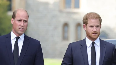 Harry and Charles' aid 'talks would not happen without Will's support'