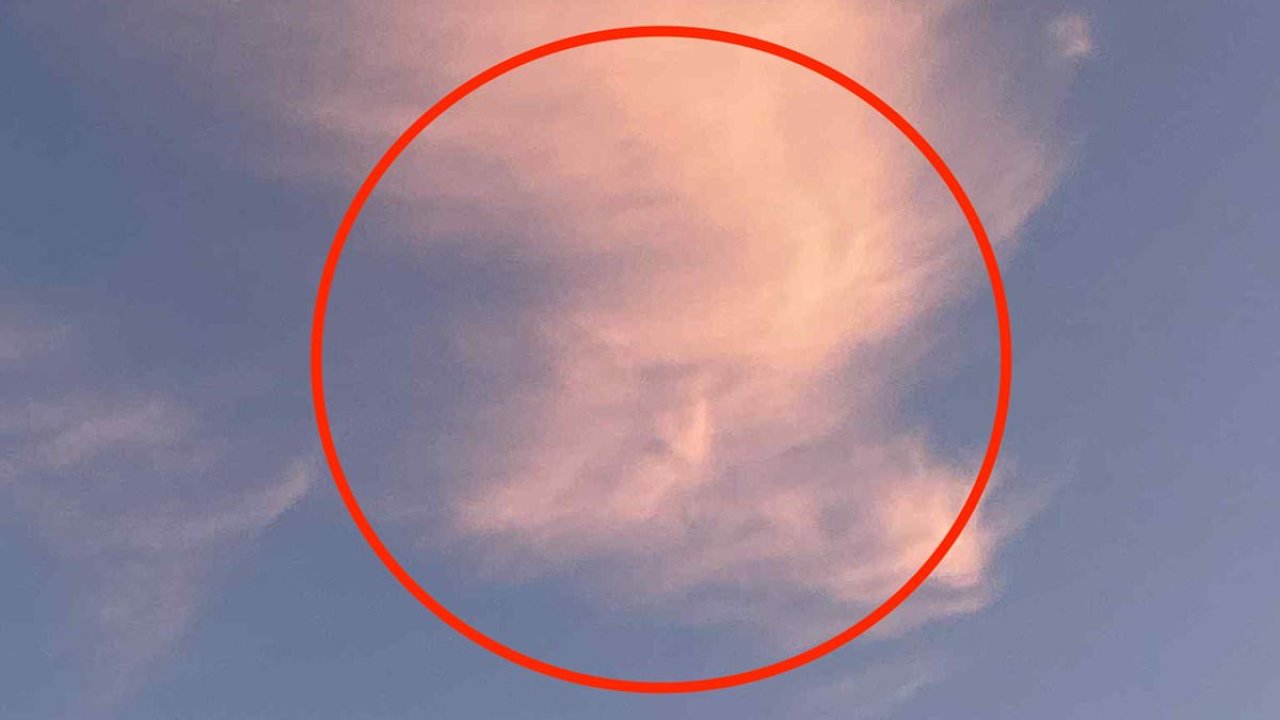 Head in the clouds! Dogwalker spots Donald Trump's profile in the sky