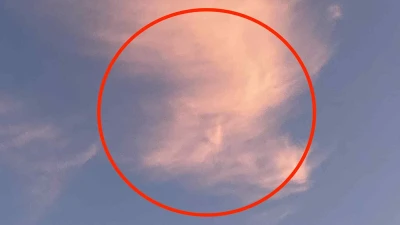 Head in the clouds! Dogwalker spots Donald Trump's profile in the sky
