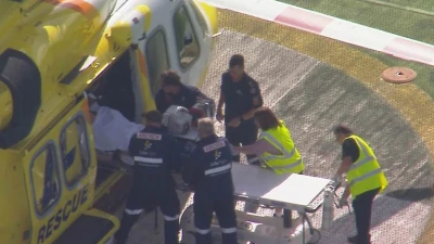 Horror as Aussie woman loses arm in lion attack at zoo