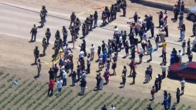 ICE faces off with protesters as agents raid California cannabis farm