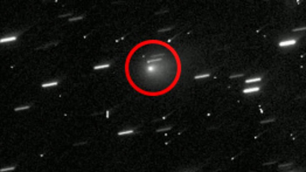 Joe Rogan is stunned by 'alien probe' hurtling towards Earth - www.abdpost.com Amerika'dan Haberler