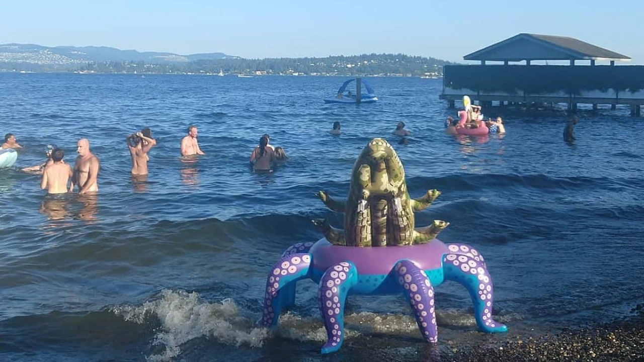 Judge orders Seattle beach closed because people keep having sex there