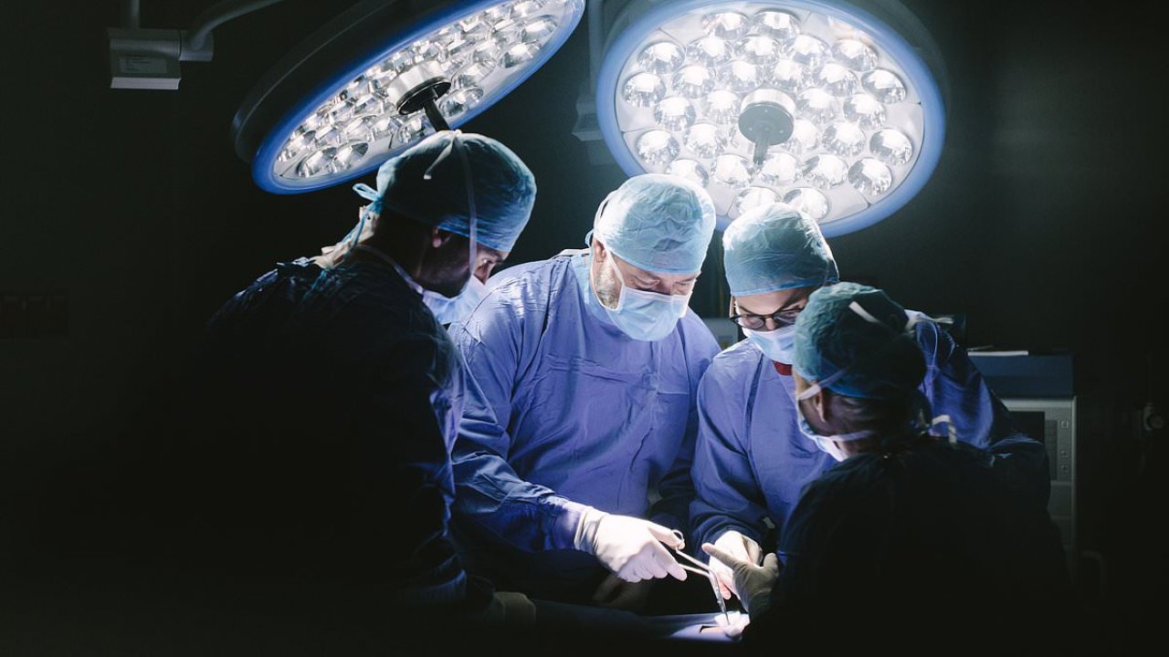 Men become infested with parasites after receiving infected organs