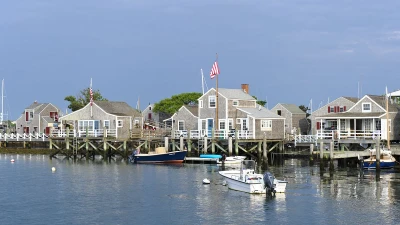 Nantucket property wars after man 'cuts down neighbor's tree'