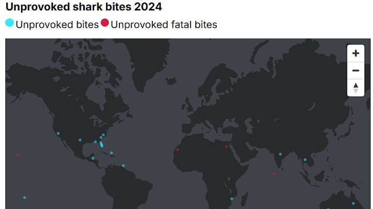 Shark attack hotspots REVEALED