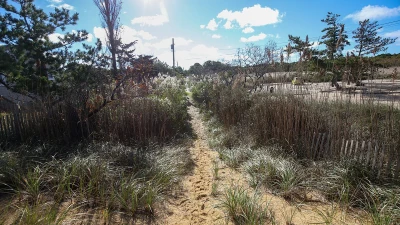 Stella McCartney's Hamptons neighbor outrages locals with ugly feature