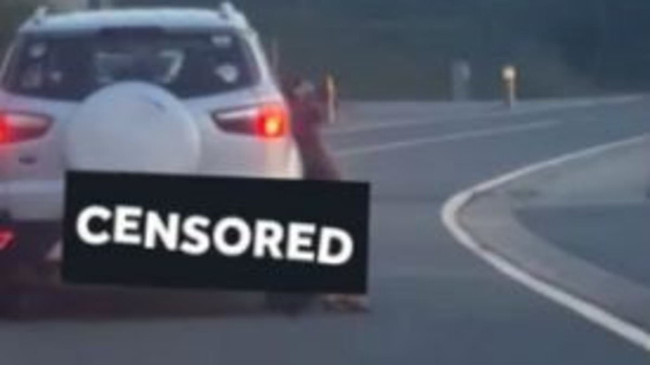 Thug is filmed killing his dog by dragging it behind his car at 50mph