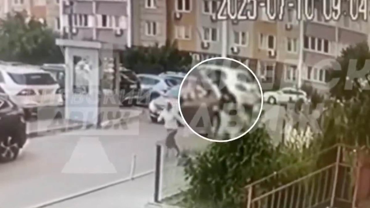 Top Ukrainian security official is shot dead in Kyiv by assassin