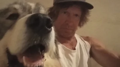 Arrest made after teen girl mauled by pack of dogs in California