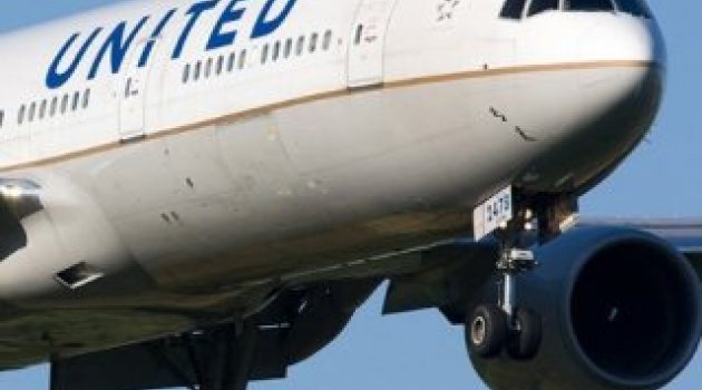 ABD'nin Houston Şehrinde Yolcuyu Akrep Isırdı