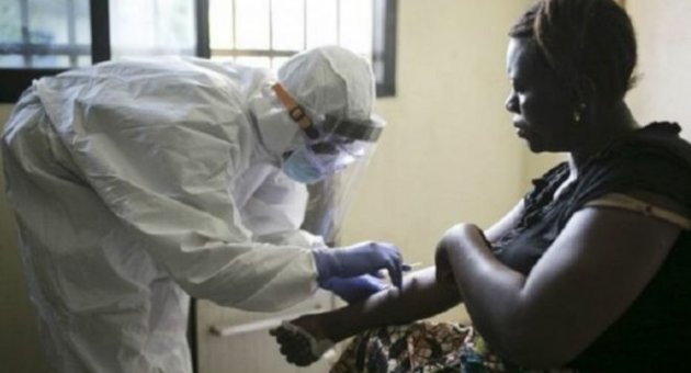 'Ebola salgını 2015'te bitecek'