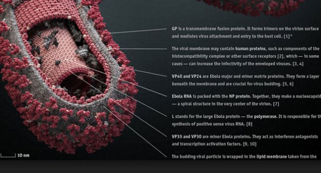 Ebola salgınıyla ilgili çarpıcı iddia!