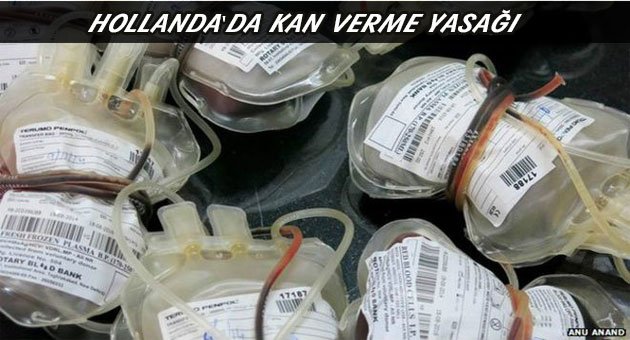 'Hollanda'da Eşcinsellere Kan Verme Yasağı Ayrımcılık'