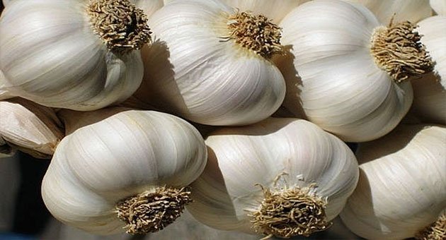 Kalbiniz için sarımsak yiyin