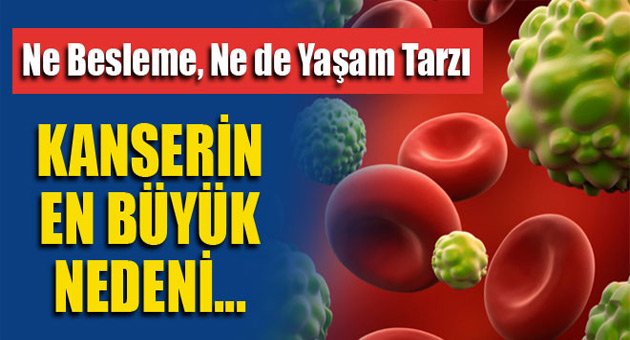 Kansere ‘kötü şans’ neden oluyor