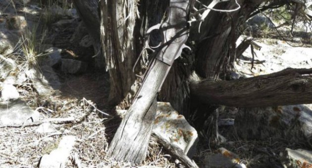 Nevada'da ağaca yaslanmış 132 yıllık tüfek bulundu