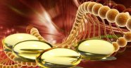 C Vitamini Hangi Besinlerde Bulunur