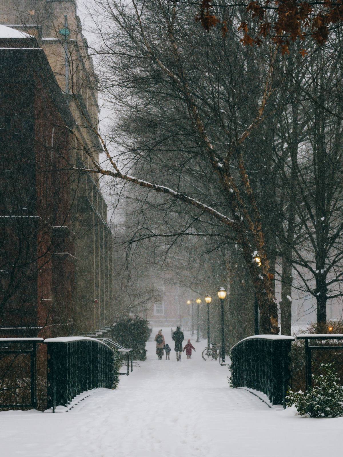 ABD’yi felç eden kış fırtınası!