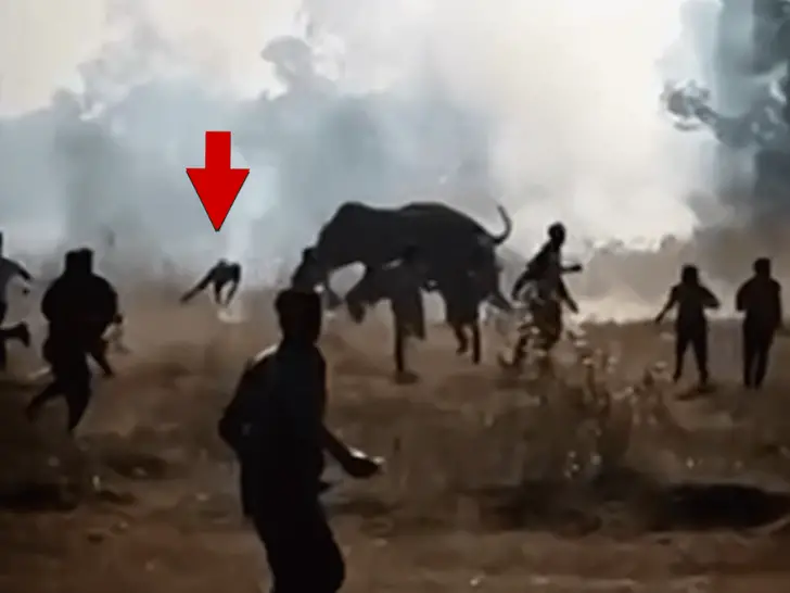 Kontrolden çıkan fil 10 günde 22 kişiyi öldürdü