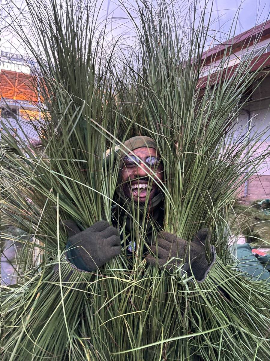 Super Bowl’un viral “ağaç adamları” ne kadar kazandı?