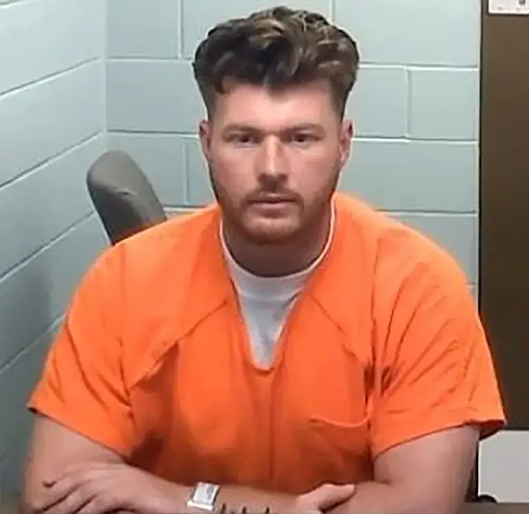 Kızının patates cipsini yiyen martıyı öldüren babaya 8 ay hapis