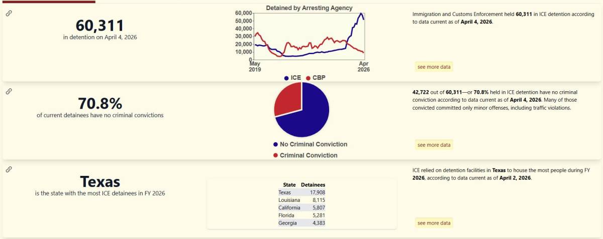 ICE’ın en çok tutuklama yaptığı şehirler belli oldu