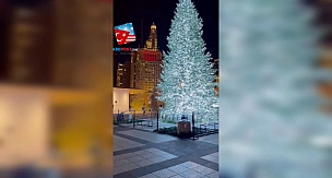 Chicago chirstmas Agaci www.abdpost.com
